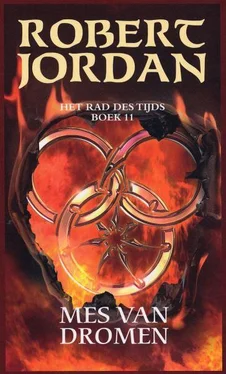 Robert Jordan Mes van Dromen обложка книги