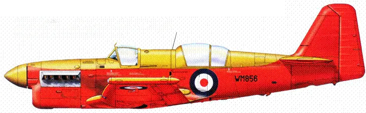 Файрфлай 118 WM856 беспилотный самолетмишень входивший к последнюю - фото 185