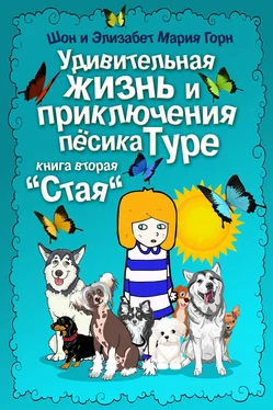 Шон Горн Удивительная жизнь и приключения песика Туре. Книга вторая. «Стая» обложка книги