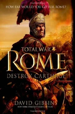 David Gibbins Total War Rome: Destroy Carthage обложка книги