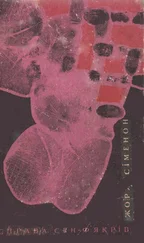 Жорж Сименон - Порт у тумані