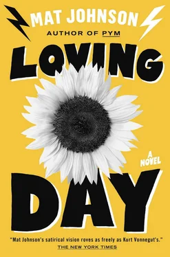 Mat Johnson Loving Day обложка книги