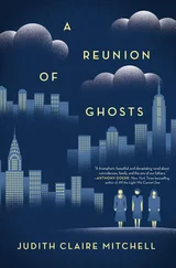 Judith Mitchell - A Reunion Of Ghosts
