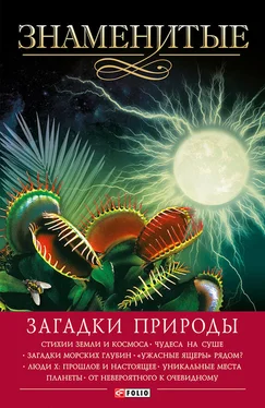 Владимир Сядро Знаменитые загадки природы обложка книги