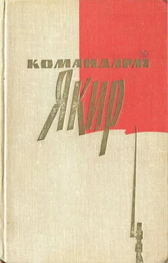 Иона Якир КОМАНДАРМ Якир. Воспоминания друзей и соратников. обложка книги