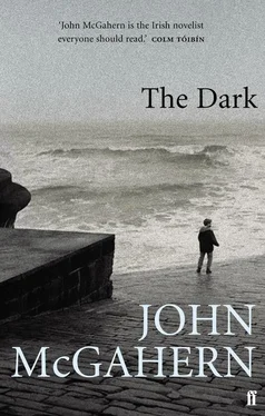 John McGahern The Dark обложка книги