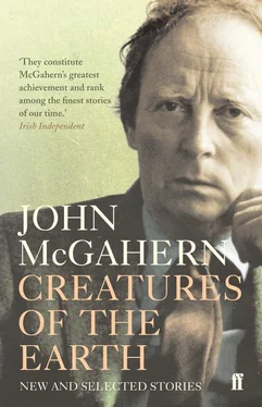 John McGahern Creatures of the Earth: New and Selected Stories обложка книги