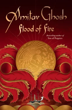 Amitav Ghosh Flood of Fire обложка книги