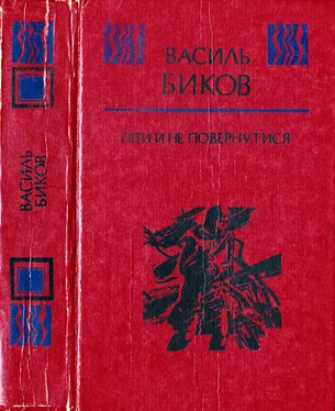 Василь Биков Піти й не повернутися обложка книги