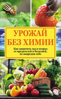 Надежда Севостьянова Урожай без химии. Как защитить сад и огород от вредителей и болезней, не навредив себе обложка книги