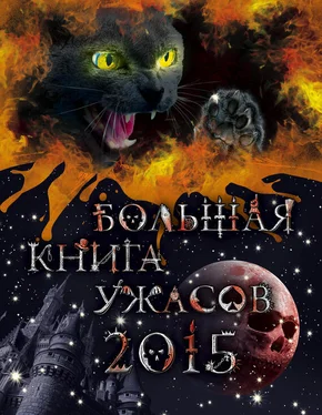 Елена Усачева Большая книга ужасов 2015 (сборник) обложка книги