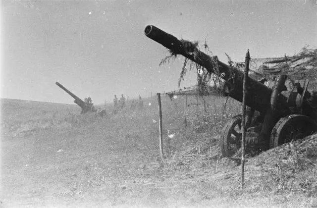 Замаскированные советские 152м м гаубицы МЛ20 на позиции 19 марта 1943 г - фото 315