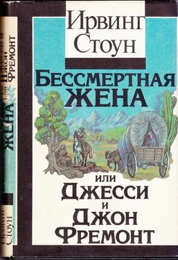 Ирвинг Стоун Бессмертная жена, или Джесси и Джон Фремонт обложка книги