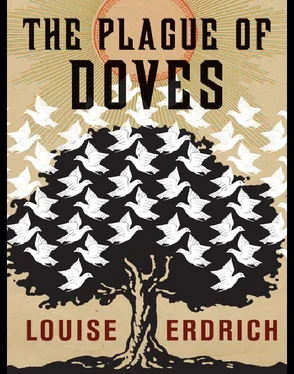 Louise Erdrich The Plague of Doves обложка книги