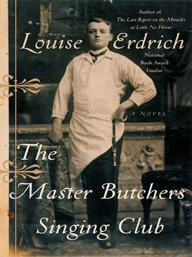 Louise Erdrich The Master Butcher's Singing Club обложка книги