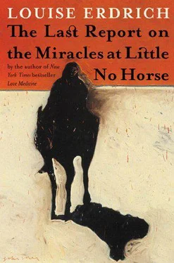 Louise Erdrich The Last Report on the Miracles at Little No Horse обложка книги