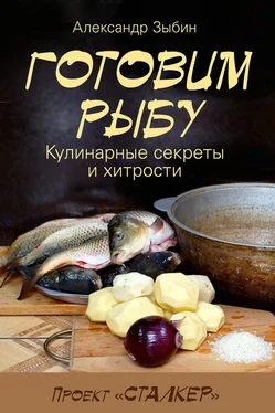 Александр Зыбин Готовим рыбу обложка книги