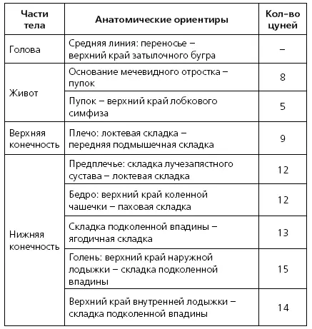 На руках 12цуней от второй складки лучезапястного сустава и до локтевой точки - фото 3