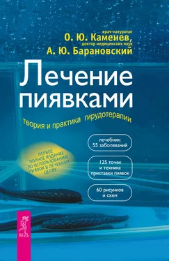 Олег Каменев Лечение пиявками. Теория и практика гирудотерапии обложка книги