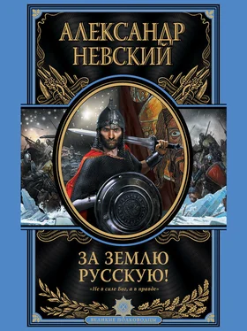 Александр Невский За Землю Русскую! обложка книги