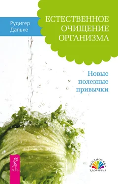 Рудигер Дальке Естественное очищение организма. Новые полезные привычки обложка книги