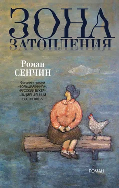 Роман Сенчин Зона затопления обложка книги