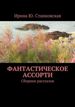 Ирина Станковская Фантастическое ассорти. Сборник рассказов обложка книги