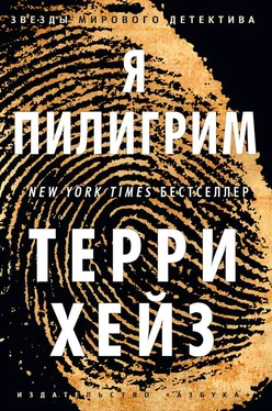 Терри Хейз Я Пилигрим обложка книги