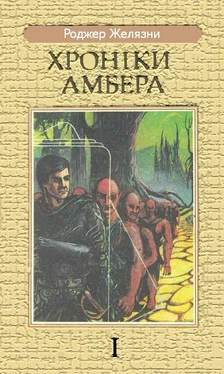 Роджер Желязни Дев'ять Принців Амбера обложка книги