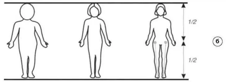 Рис 32 Пропорции тела а пропорции б фазы роста ребенок подросток - фото 16