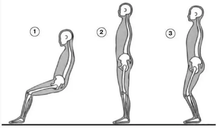 Рис 39 Позиции 1 сидя 2 стоя 3 стоя согнув колени Облегченная - фото 22