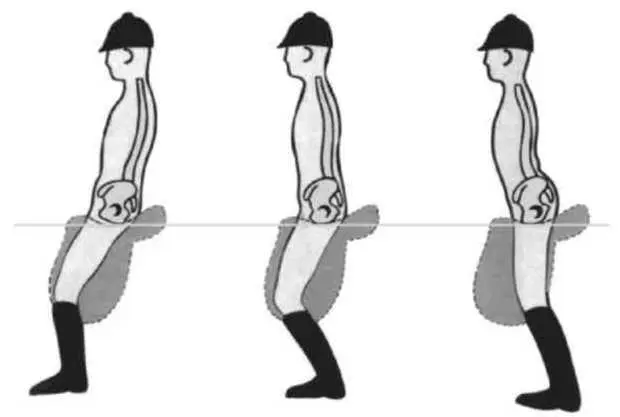 Рис 313 Влияние положения таза на посадку Если сидя в седле вы наклоните - фото 26