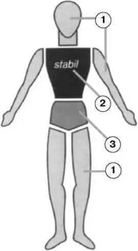 Рис 44 Стабильные и подвижные части тела 1 подвижные 2 стабильные 3 - фото 30