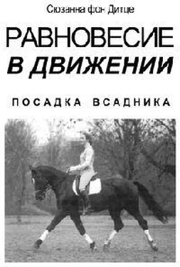 Сюзанна Дитце Равновесие в движении. Посадка всадника обложка книги