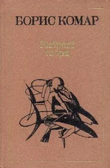 Борис Комар - Векша