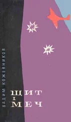 Вадим Кожевников - Щит і меч