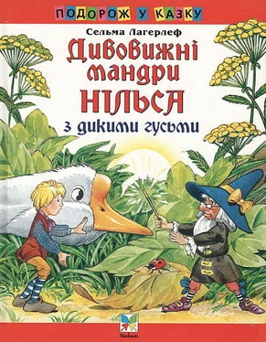 Сельма Лагерлеф Дивовижні мандри Нільса з дикими гусьми обложка книги