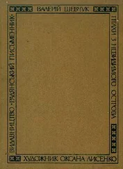 Валерій Шевчук - На полі смиреному