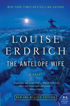 Louise Erdrich The Antelope Wife обложка книги