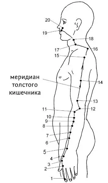 Рис 72Меридиан толстого кишечника 1 Шанян Шанян один из пяти - фото 200