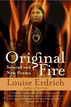 Louise Erdrich Original Fire: Selected and New Poems обложка книги