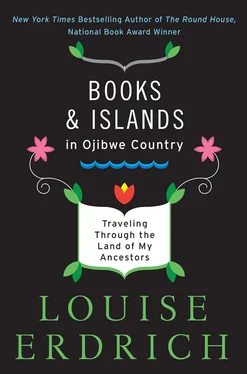 Louise Erdrich Books and Islands in Ojibwe Country обложка книги