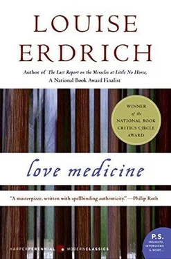 Louise Erdrich Love Medicine обложка книги