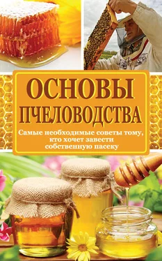 Н. Медведева Основы пчеловодства. Самые необходимые советы тому, кто хочет завести собственную пасеку обложка книги