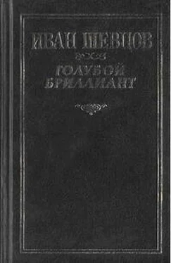 Иван Шевцов Что за горизонтом? обложка книги