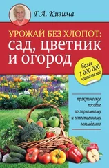 Галина Кизима - Урожай без хлопот - сад, цветник и огород