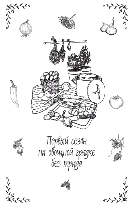 Картофель Прежде чем сажать картофель клубни надо подготовить 1 Их надо - фото 1