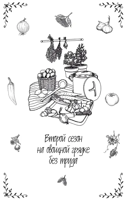 Тыквы кабачки а также дыни и арбузы 1 Следующей весной грядку под - фото 8