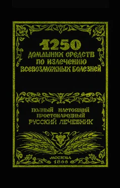 Феликс Лоевский 1250 домашних средств по излечению всевозможных болезней обложка книги