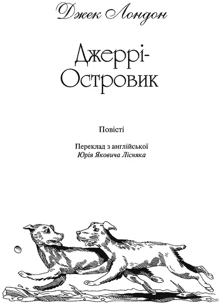 Художнє оформлення серії Світлани Железняк Переклад з англійської Юрія - фото 4